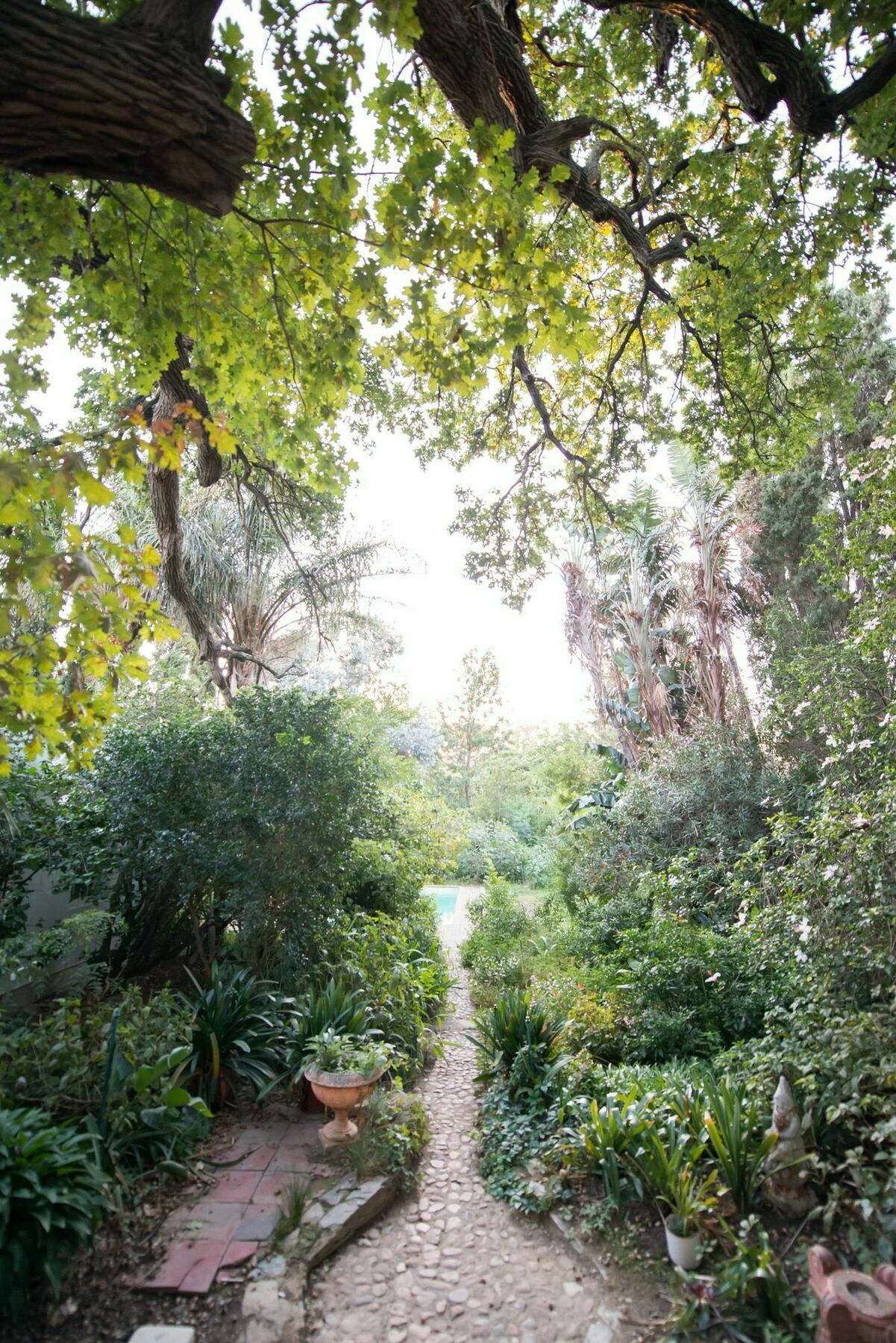 Tulbagh Country Guest House - Cape Dutch Quarters Exterior photo